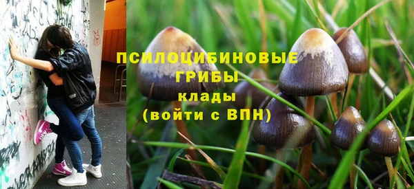 хмурый Усинск