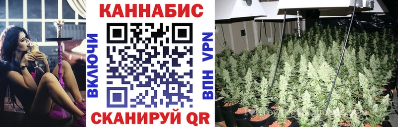 Купить закладки Чадан Марихуана LSD WEED